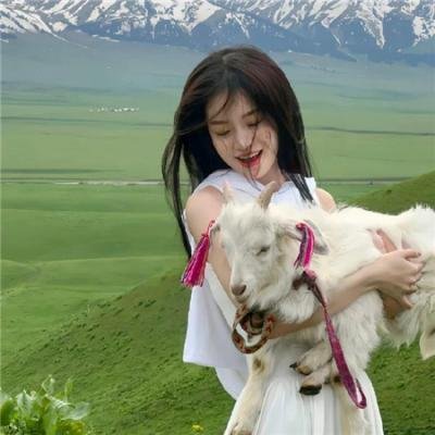 小猫钓鱼